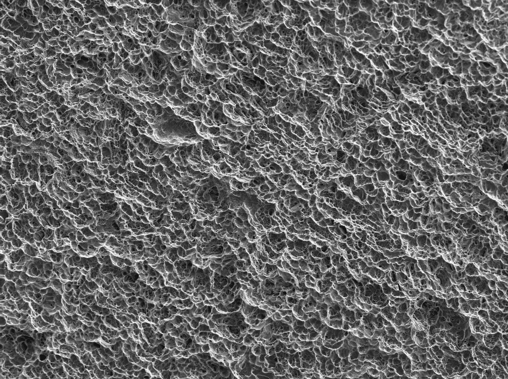 Surface of the Champions (R)Evolution Implant